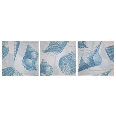 Coastal Shell Wall Plaques - Set of 3