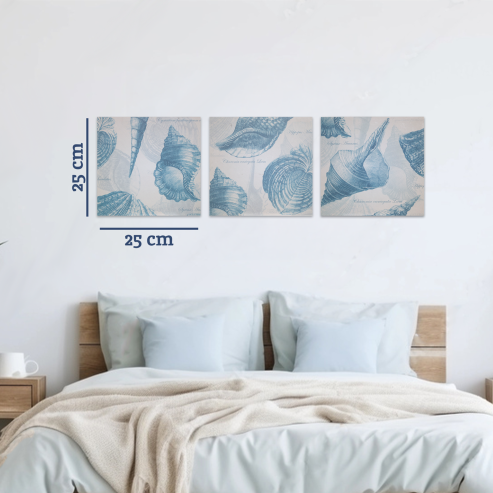 Coastal Shell Wall Plaques - Set of 3