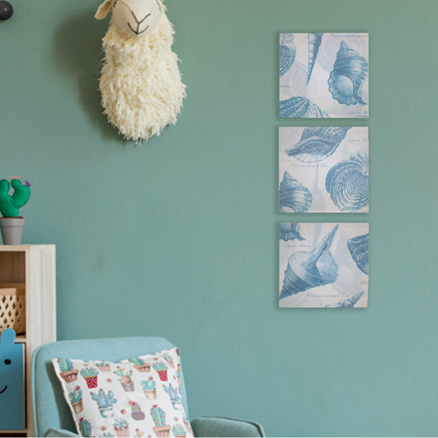 Coastal Shell Wall Plaques - Set of 3