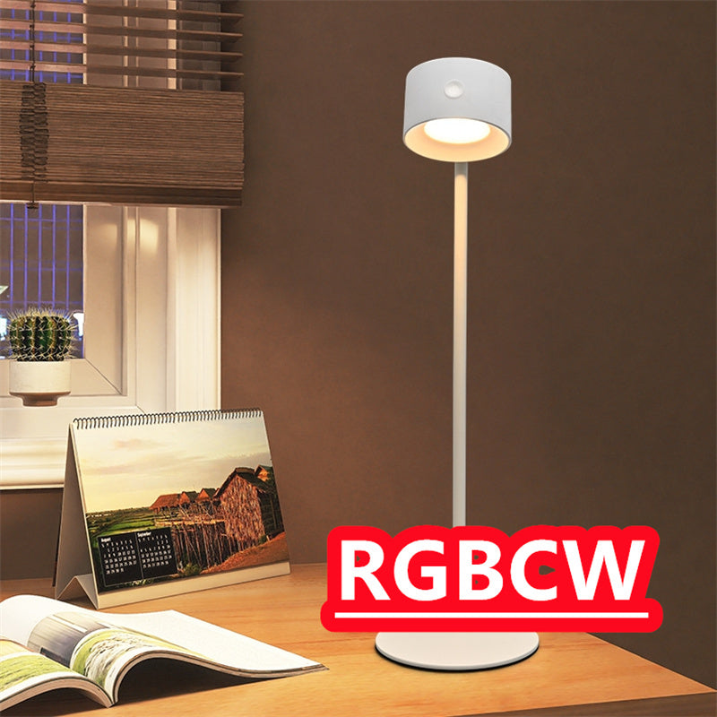 LED USB Table Lamp 360 Rotate Cordless