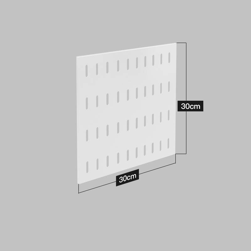 Stainless Steel Kitchen Wall Mounted Kitchen Storage Rack Plate