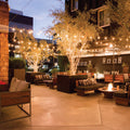 Solar String Lights Kit, LED Filament Bulbs 7.6m