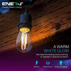 LED Filament String Light Kit, Vintage LED Bulbs, Waterproof 48ft