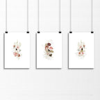 Shabby Chic Floral Wall Art Set of 3