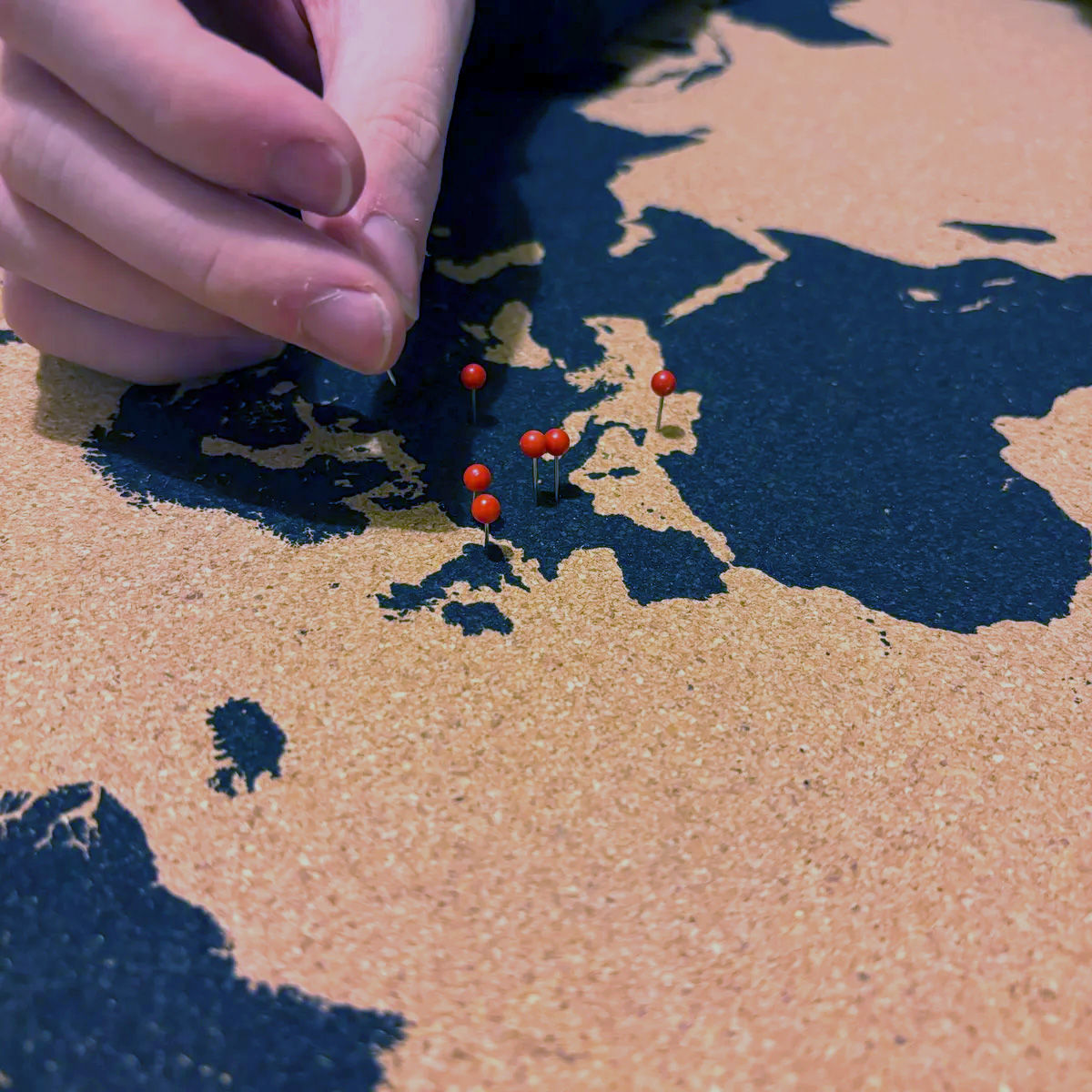 World Map Cork Notice Board